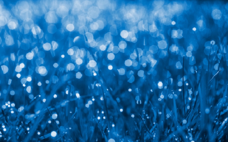 Actualizaci&oacute;n de Metadatos y Pol&iacute;ticas de Cosecha Interoperables para los Nodos Nacionales