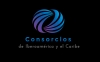 Con el apoyo de socios de LA Referencia, CONRICYT M&eacute;xico lanza sitio web de Reuni&oacute;n de Consorcios